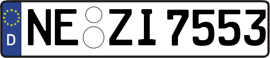NE-ZI7553