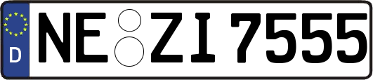 NE-ZI7555