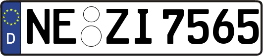 NE-ZI7565