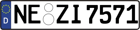 NE-ZI7571