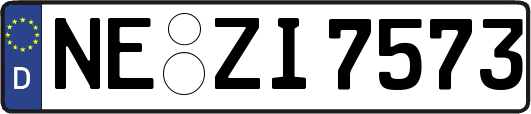 NE-ZI7573
