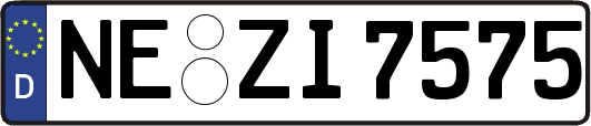NE-ZI7575