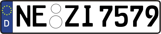 NE-ZI7579