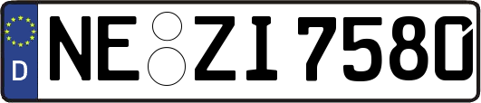 NE-ZI7580