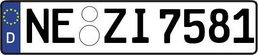 NE-ZI7581