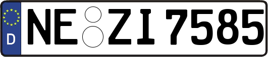 NE-ZI7585