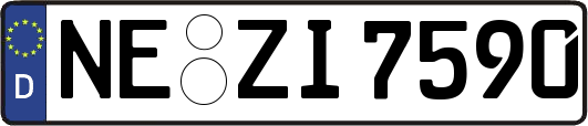 NE-ZI7590