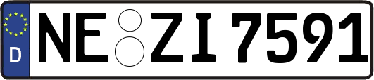 NE-ZI7591