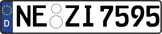 NE-ZI7595