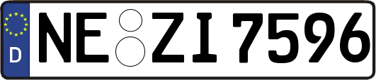 NE-ZI7596