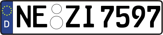NE-ZI7597