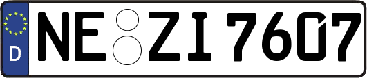 NE-ZI7607
