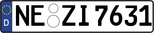 NE-ZI7631