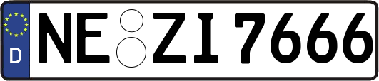 NE-ZI7666
