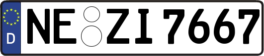 NE-ZI7667