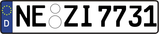 NE-ZI7731