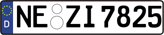 NE-ZI7825