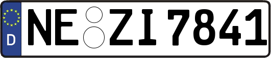 NE-ZI7841