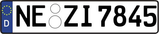 NE-ZI7845