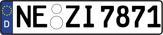 NE-ZI7871