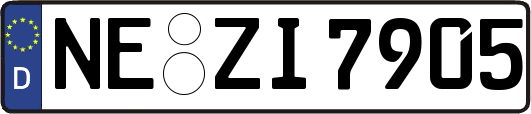 NE-ZI7905
