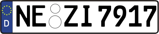 NE-ZI7917
