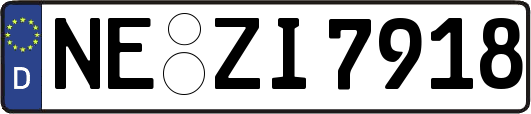 NE-ZI7918
