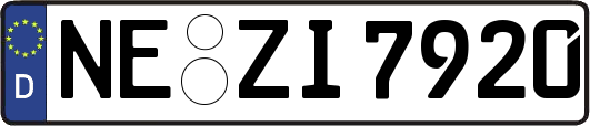 NE-ZI7920