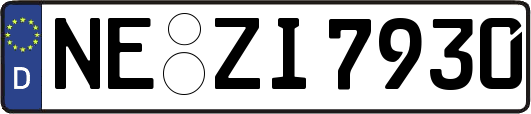 NE-ZI7930