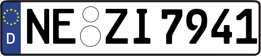 NE-ZI7941