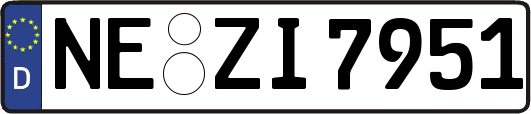 NE-ZI7951