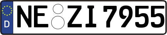 NE-ZI7955