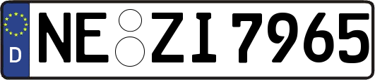 NE-ZI7965