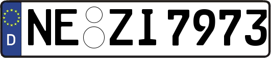 NE-ZI7973