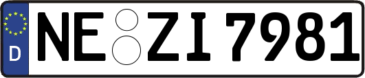 NE-ZI7981