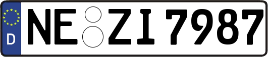 NE-ZI7987