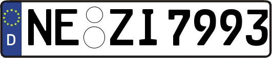 NE-ZI7993