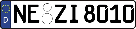 NE-ZI8010
