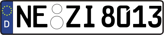 NE-ZI8013