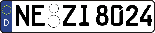 NE-ZI8024