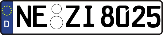 NE-ZI8025