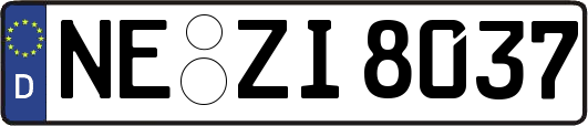 NE-ZI8037