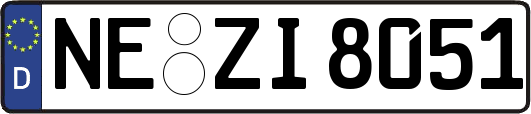 NE-ZI8051