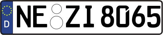 NE-ZI8065