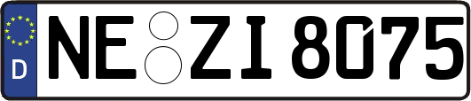 NE-ZI8075