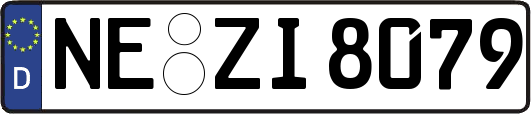 NE-ZI8079
