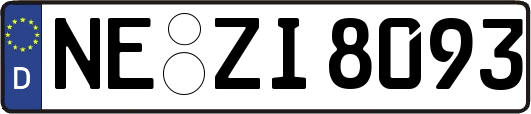 NE-ZI8093