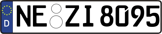NE-ZI8095