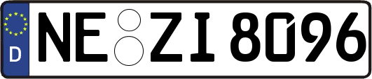 NE-ZI8096