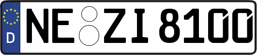 NE-ZI8100